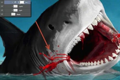 آموزش طراحی صحنه شکار کوسه در فتوشاپ